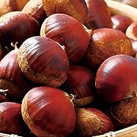 いか様 生栗 4キロ 楽天市場】栗（総重量（果物）4.00 ～ 4.99kg）の通販