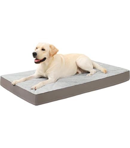 Amazon | 洗濯可能な犬用おむつ 男性用L、プレミアムベリーバンド オス