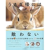 うさぎさま専用です♪ おさんぽ うさぎちゃん うさぎ HAC4241 | 卸売・ 問屋・仕入れの