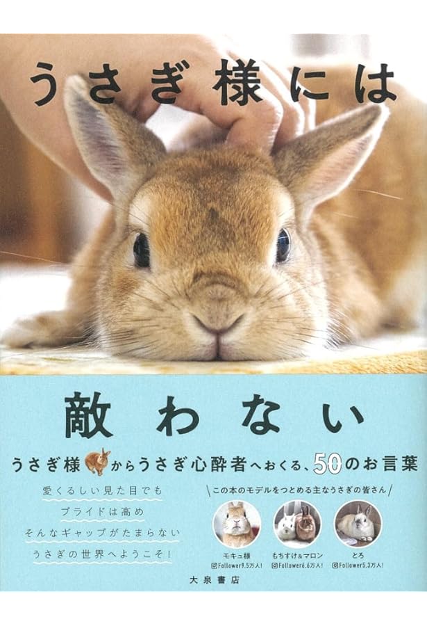 もふうさ 旅するうさぎ | 江本 秀幸 |本 | 通販 | Amazon