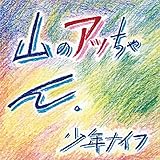 �R�̃A�b�����(SHM-CD)