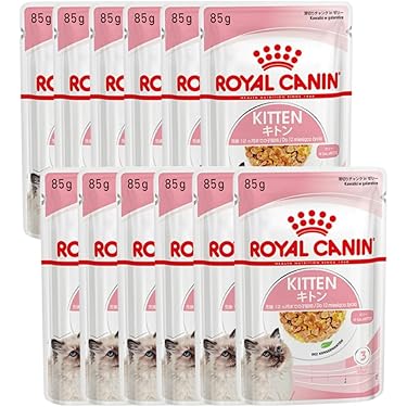 Amazon.co.jp 最新リリース: キャットフードパウチ の新着