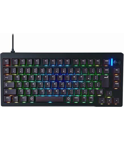 Amazon | VARO 日本語配列テンキーレス メカニカルキーボード VM87-J