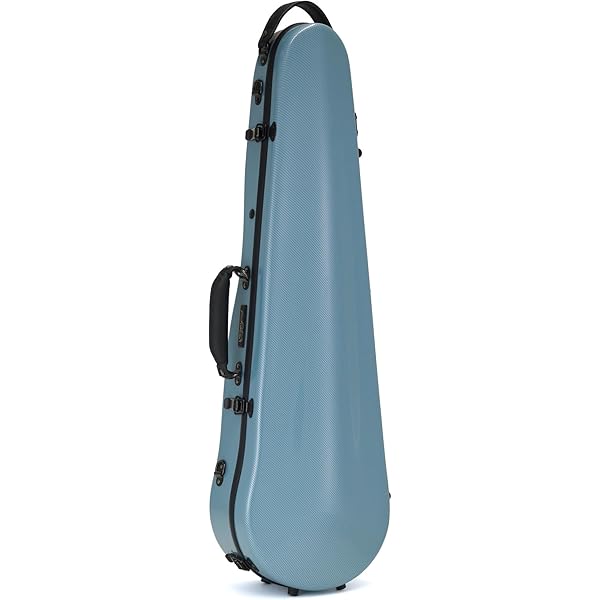 Amazon.co.jp: J.W.Eastman イーストマン バイオリンケース Standard