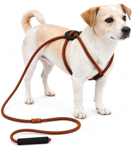 Amazon | エッセンシャルハーネス【HOZI】ドッグハーネス 犬 ペット