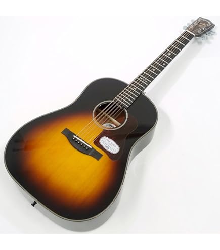 Amazon.co.jp: Headway HF-25 SB アコースティックギター ヘッドウェイ 
