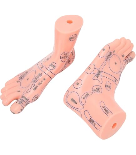 レインボー療法マニュアル2010➕テープ２２シート➕手のツボ模型 Amazon | タジマ(Tajima) パーフェクト墨つぼ GUN10m Z 糸長さ