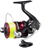Amazon | シマノ(SHIMANO) スピニングリール 19 シエナ C3000 3号 150m