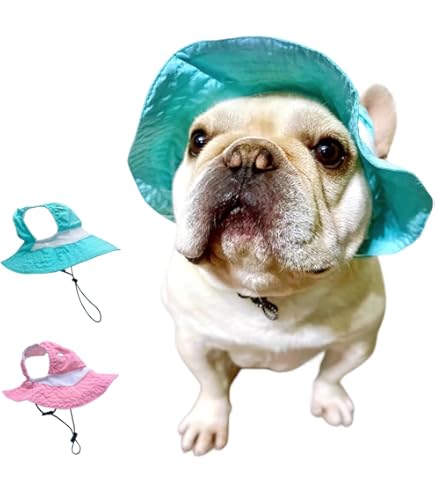 Dog Hat Dog Cat Sun Hat With Ear Holes Pet Supplies Dog Hats