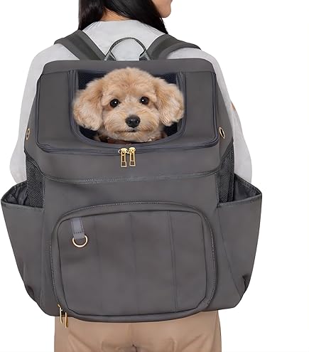 犬用キャリーバッグ　韓国　little comfo インナーメッシュ付き Amazon.co.jp: little comfo リトルコンフォ gold メッシュバック