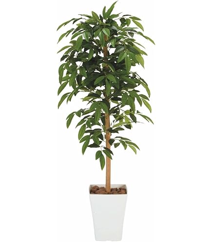 光触媒　人工観葉植物　フェイクグリーン　ナチュラルパキラ 1.8m@a 光触媒 人工観葉植物 フェイクグリーン ナチュラルパキラ 1.8m@a