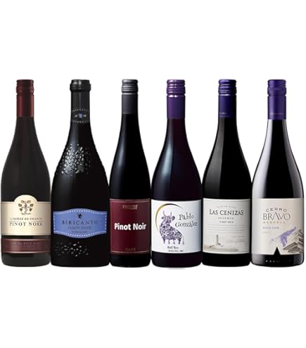 Amazon.co.jp: [日本ワイン]ドメーヌ タカヒコ ナナツモリ ピノ