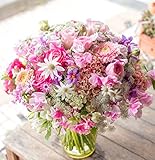 アレンジメントフラワー 生花 ギフト 4Lサイズ イメージ(可愛い)大臣賞受賞デザイナー おまかせアレンジメント