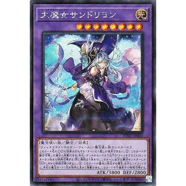 Amazon.co.jp 最新リリース: シングルノンスポーツコレクションカード