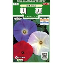 Amazon.co.jp: 【種子】 西洋系あさがお カレドニアブルー トーホクの
