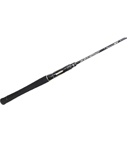Amazon | エバーグリーン カレイド インスピラーレ ストライダーRS