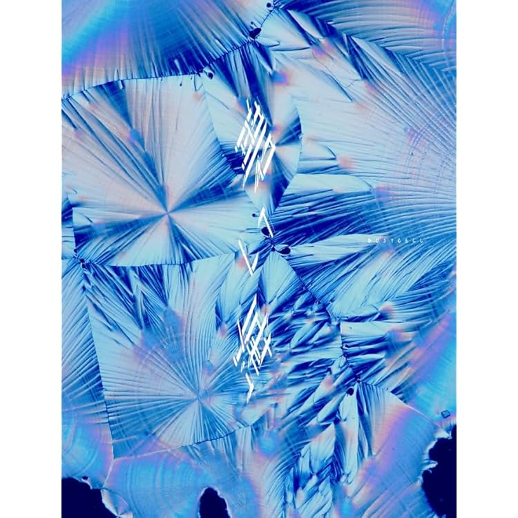 Amazon.co.jp: 碧い海 (AL) (初回限定盤) - DUSTCELL: ミュージック