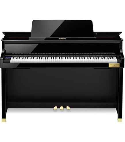 Amazon | CASIO GP-1000 ブラックポリッシュ仕上げ ブラック遮音