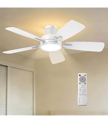 【新品】TALOYA シーリングファンライト Φ117cm 静音設計 8～10畳 Amazon.co.jp : TALOYA シーリングファンライト 8〜10畳 DCモーター