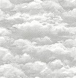 【サンプル専用】貼ってはがせるシール壁紙 NuWallpaper　 Atmosphere Peel and Stick Wallpaper / NU2092