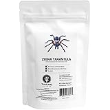 Amazon ワームサッカー テキーラ イモムシキャンディ テキーラ味 罰ゲーム食べ物 ハロウィン Hotlix あめ キャンディ 通販