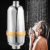 Ruier-tong　シャワー浄水器　お風呂浄水器　高品質　浄水フィルター　カートリッジ付き　錆水　塩素　異物除去　抗菌 　消臭　節水　洗浄　多機能　浴室用　160*65mm　シルバー