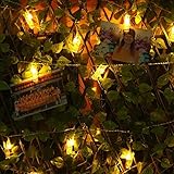 YINUO T2C LED Photo Clip String Lights by USB Operated, 10 Photo Clips lights, 2.5m/8.2ft, Warm Whit