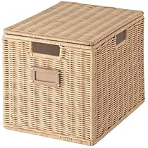 61P0U1JlVJL._AC_UL210_SR210,