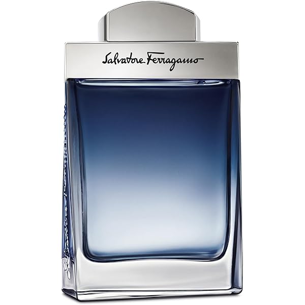 ヴェルサーチ ザ ドリーマー Amazon.co.jp: ヴェルサーチ ドリーマー 100ml EDT SP