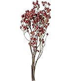 ドライフラワー うんりゅう柳 N皮むき 約L100~110㎝ 9本入 Amazon｜東京堂(Tokyodo) 東北花材 TOKA ドライフラワー うん