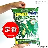 LAND PLANTS 観葉植物の土 5L