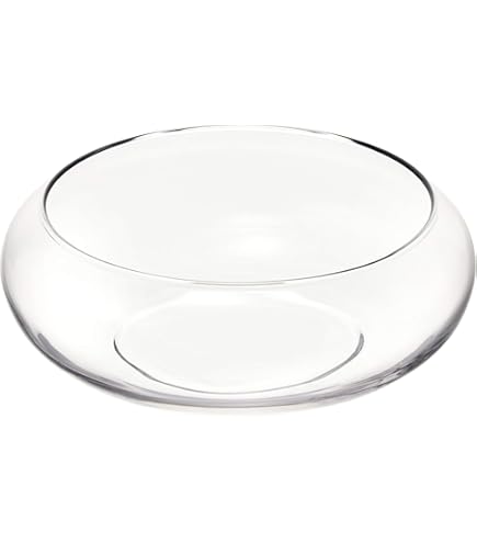 Amazon.co.jp: いけばな ガラス花器 華道 池坊 : ホーム＆キッチン