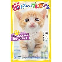 61P5v4x374L._AC_UL210_SR210,