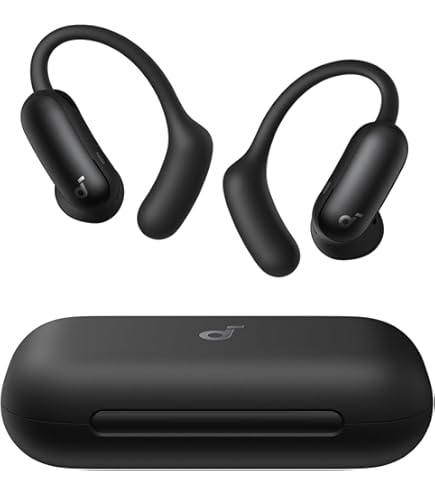 Amazon.co.jp: Anker soundcore V40i : 家電＆カメラ
