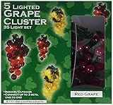 Darice LT80-1 35 Lights with 1/2-Inch Grape Cluster Light Set 6ft [並行輸入品]