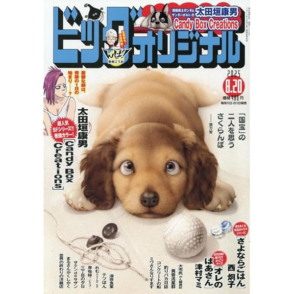 Amazon.co.jp: ビッグコミックオリジナル 2025年 8/5 号 [雑誌] : 本