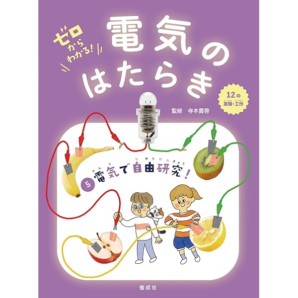 電気の通り道 (ゼロからわかる! 電気のはたらき 1) | 寺本貴啓 |本