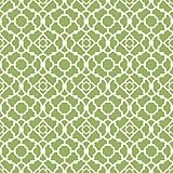 York Wallcoverings WP2498 Bright's Lovely Lattice Wallpaper, Greens [並行輸入品]