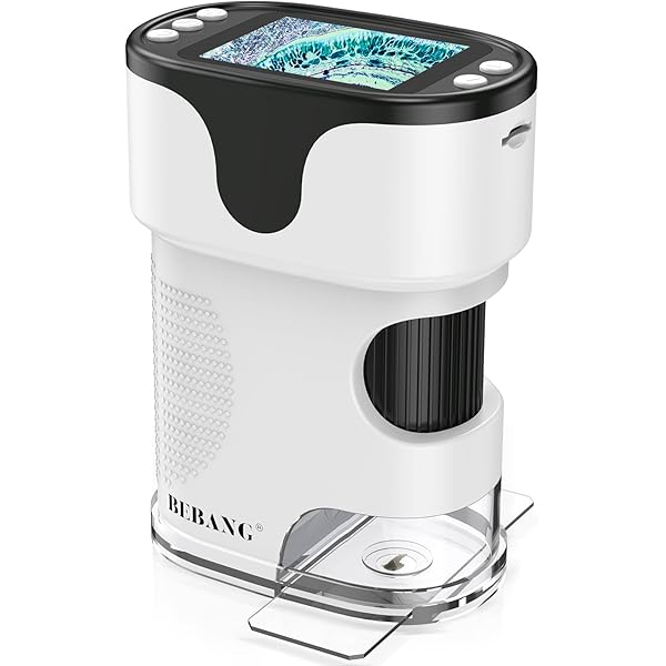 「詳解 英和辞典」入江祝衛編 大正2年（1913年）オリジナル版 レア本◆英語 2026年最新】Yahoo!オークション - 英和辞典(辞書)の中古品・新品