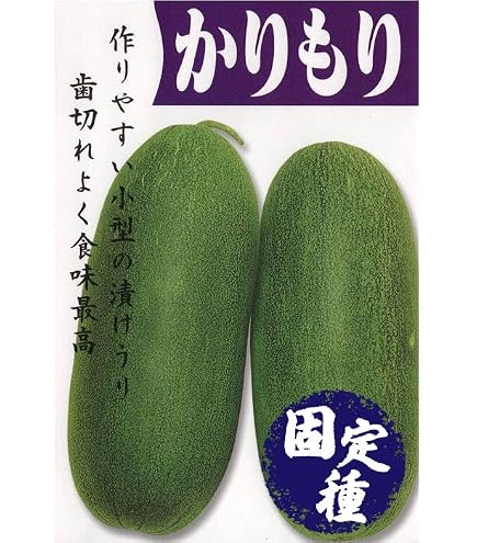 Amazon.co.jp: 中国野菜の種 長夕顔20粒 瓠瓜 夜開花 蒲瓜 瓢瓜 : DIY