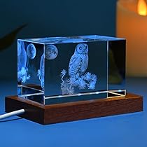 61PBDk7noVL._AC_UL210_SR210,