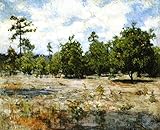 フロリダ州 – by Henry Ossawa Tanner – Unframed 28" by 23" AC-45452-2823