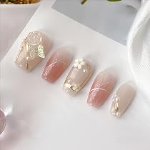 Amazon | LemiVibe·「胡蝶ノ夢」ネイルチップ ロング ピンク 100