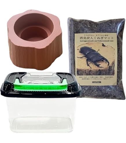 【売り切り特価】クワガタムシ カブトムシ　飼育用品セット Amazon | カブトムシ・クワガタムシ飼育セット【 手持ち付き飼育