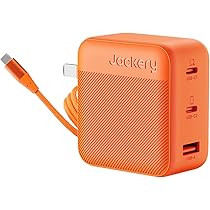 ランラン スーパードッグ　100w急速充電器　純正品 ランラン様専用 スーパードッグ 100w急速充電器 純正品