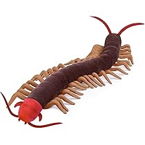 Amazon.co.jp: ZHONGXIN MADE 大型アホロートルぬいぐるみ - 超