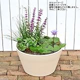 睡蓮鉢 メダカ鉢 金魚鉢 ベージュ 直径44cm 高さ25cm 軽量2kg、割れにくい、頑丈な厚み1.2cm