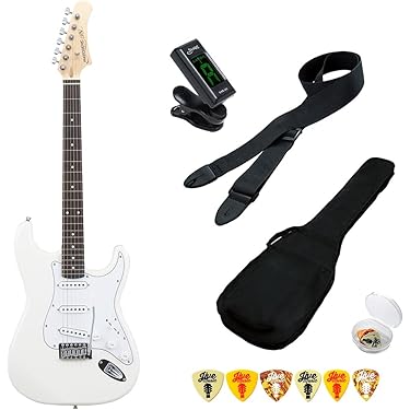 【ほぼ美品】エレキギター （調整済）自分が欲しいと思う内容で構成した初心者セット ARIA（楽器） エレキギター 初心者セット Legend LST-Z 入門