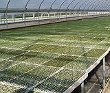 Riverstone Industries RSI RSI-ST2PK Hydroponic Seed Tray - 128 & 242 Plugs