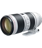 Canon 単焦点望遠レンズ EF300mm F2.8L IS II USM レンタル]Canon EF300mm F2.8L IS II USM | 単焦点レンズを借りるなら